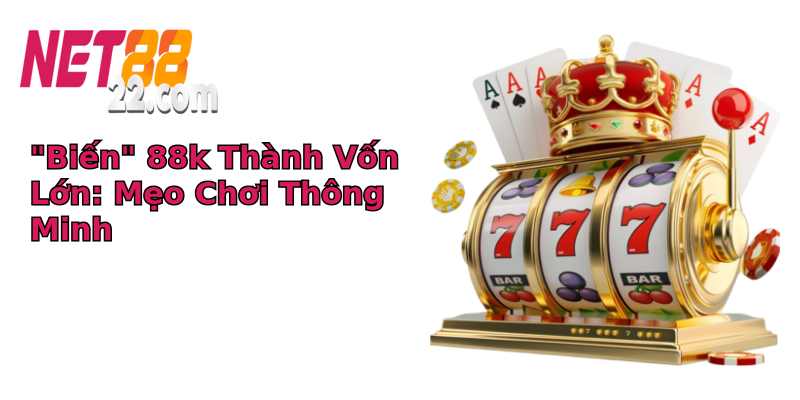 bien 88k thanh von lon meo choi thong minh